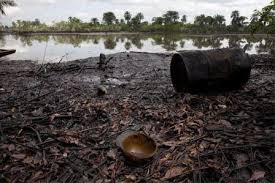 Riverine Community Laments Fresh Crude Oil Spill In Bayelsa | Info ...